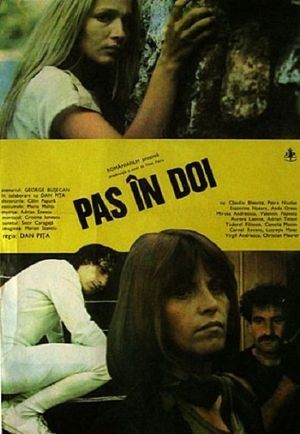Pas în doi's poster