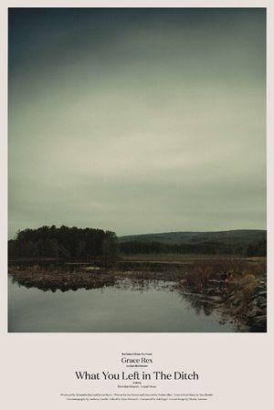 What You Left In The Ditch's poster