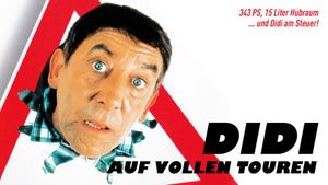 Didi Drives Me Crazy's poster