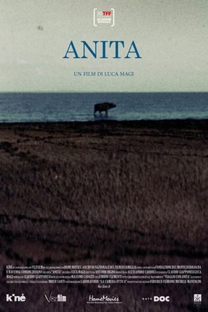 Anita's poster image