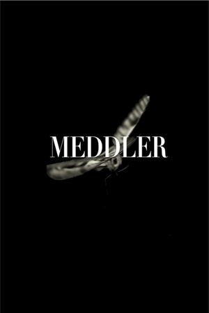 Meddler's poster