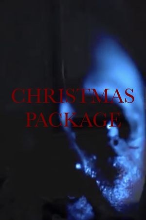 Christmas Package's poster image