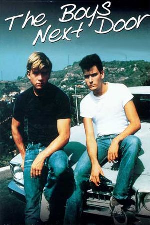 The Boys Next Door's poster