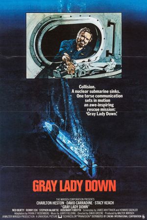 Gray Lady Down's poster