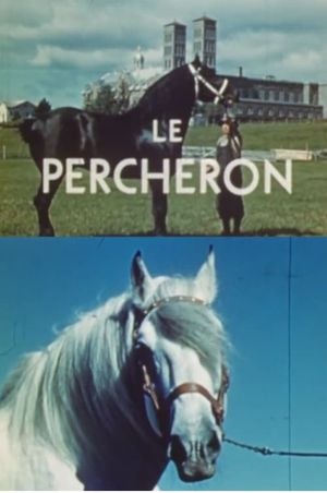 The Percheron's poster