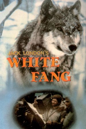 White Fang's poster