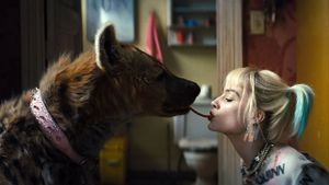Birds of Prey and the Fantabulous Emancipation of One Harley Quinn's poster