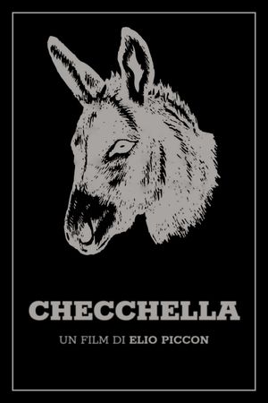 Checchella's poster