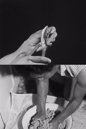 Hands of Inge's poster
