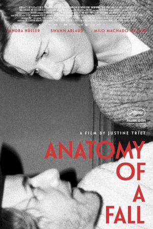 Anatomy of a Fall's poster