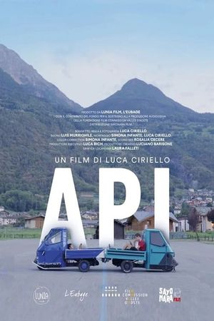 Api's poster