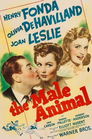 The Male Animal's poster