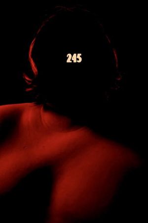 245's poster