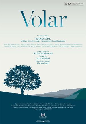 Volar's poster