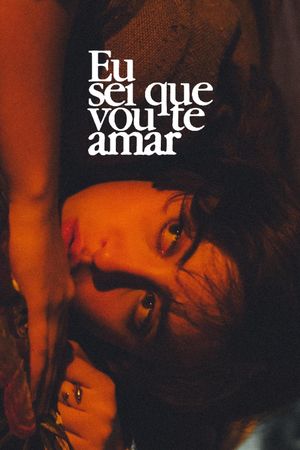 Love Me Forever or Never's poster