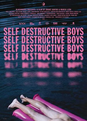 Self Destructive Boys's poster