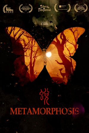 Metamorphosis's poster