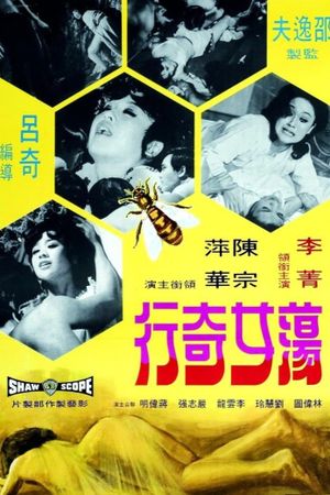 Dang nu ji hang's poster