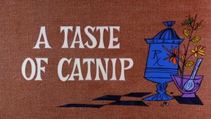 A Taste of Catnip's poster