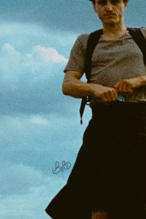 Bird's poster