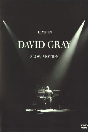 David Gray: LIVE in Slow Motion's poster