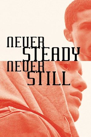 Never Steady, Never Still's poster