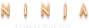 Ninja's poster