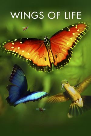 Disneynature: Wings of Life's poster