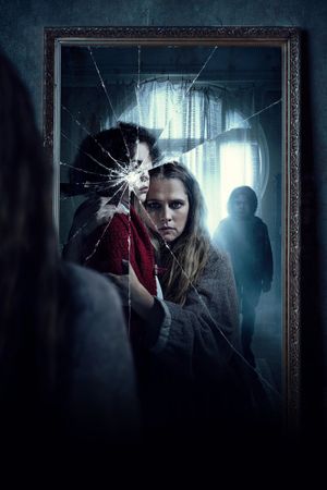The Twin's poster