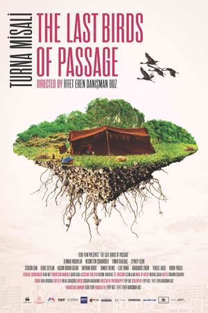 The Last Birds of Passage's poster