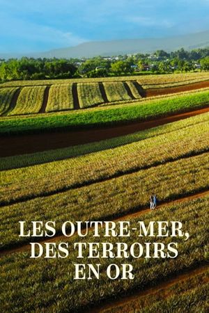 Les Outre-mer, des terroirs en or's poster