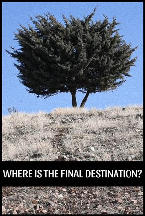 Where is the Final Destination?'s poster