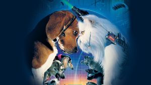 Cats & Dogs's poster