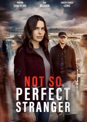 Not So Perfect Stranger's poster