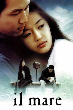 Il Mare's poster