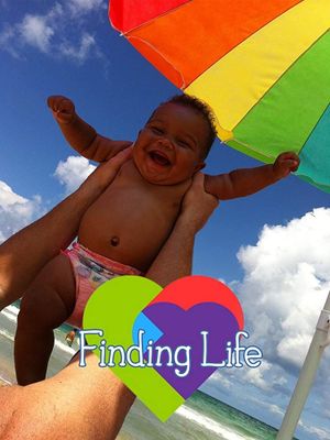 Finding Life's poster