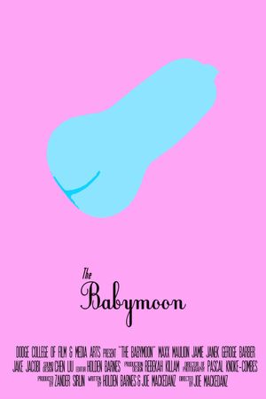 The Babymoon's poster image