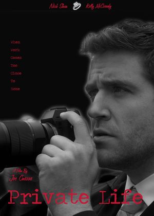 Private Life's poster