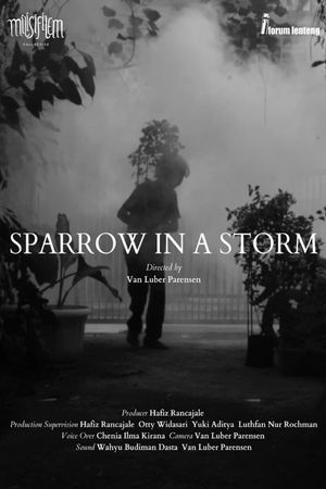 Sparrow in the Storm's poster