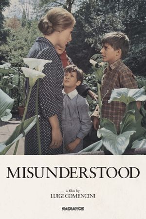 Misunderstood's poster