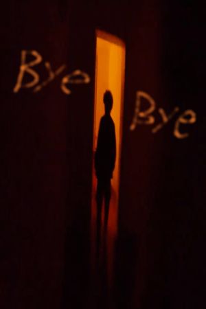Bye Bye Analog World's poster image