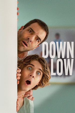 Down Low's poster