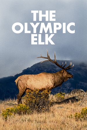 The Olympic Elk's poster