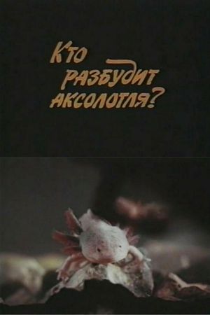 Who Will Wake Up the Axolotl?'s poster