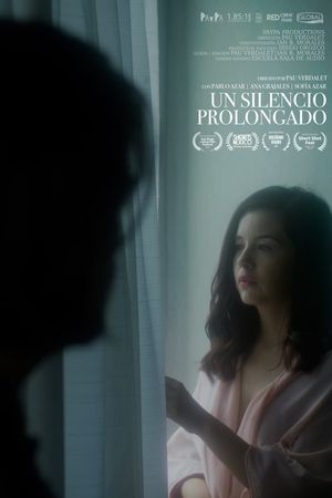 Un silencio prolongado's poster image