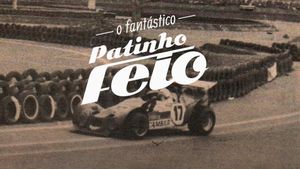 O Fantástico Patinho Feio's poster
