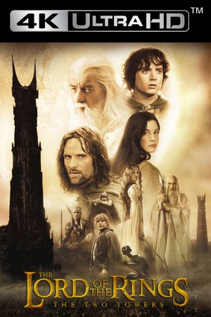 The Lord of the Rings: The Two Towers's poster