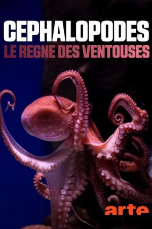 Cephalopods: The Reign of Suckers's poster