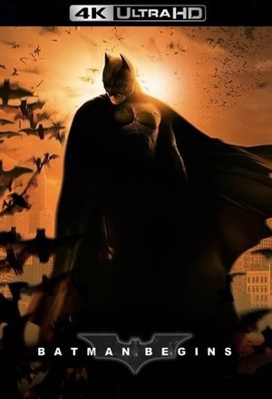 Batman Begins's poster