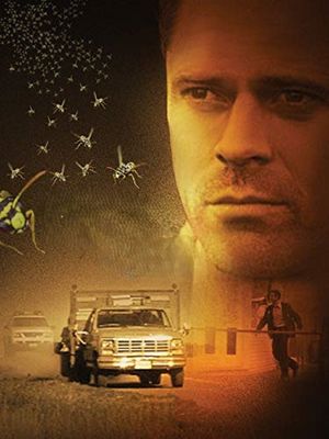 Killer Bees's poster
